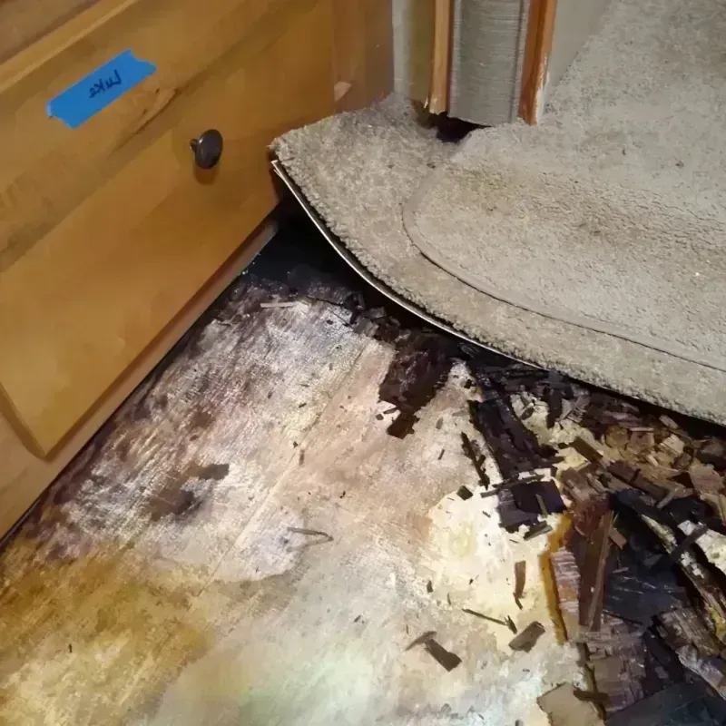 Wood Floor Water Damage in North English, IA